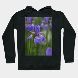 Beauty of an Iris Hoodie